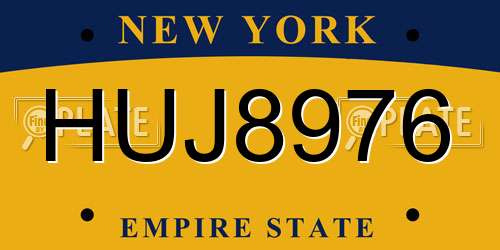 HUJ8976 New York License Plate