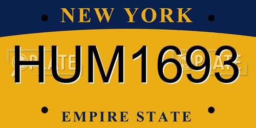 HUM1693 New York License Plate