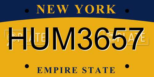HUM3657 New York License Plate