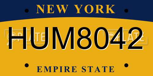 HUM8042 New York License Plate