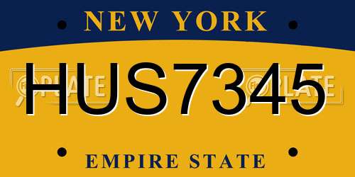 HUS7345 New York License Plate