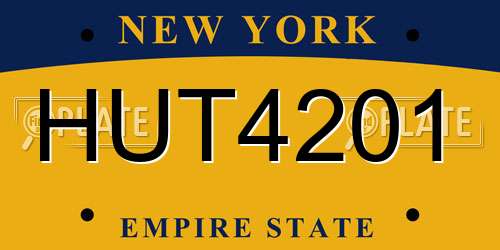 HUT4201 New York License Plate