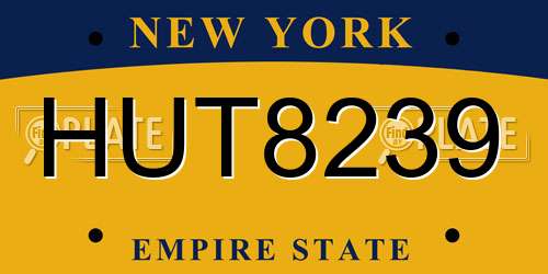 HUT8239 New York License Plate
