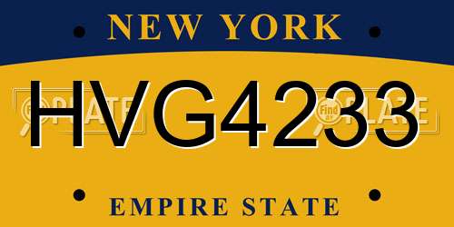 HVG4233 New York License Plate