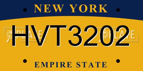 HVT3202 New York License Plate