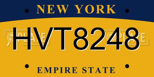 HVT8248 New York License Plate
