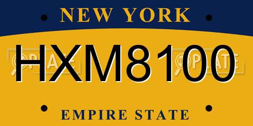 HXM8100 New York License Plate
