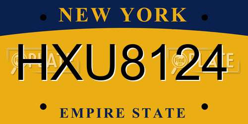 HXU8124 New York License Plate