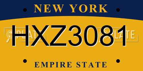 HXZ3081 New York License Plate