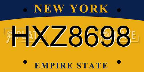 HXZ8698 New York License Plate