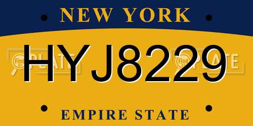 HYJ8229 New York License Plate