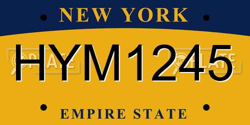 HYM1245 New York License Plate