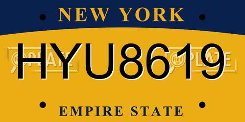 HYU8619 New York License Plate