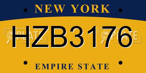 HZB3176 New York License Plate