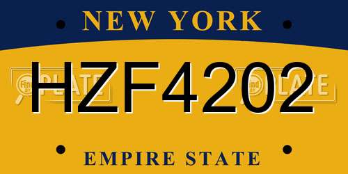 HZF4202 New York License Plate