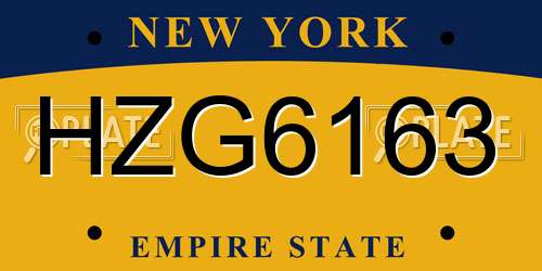 HZG6163 New York License Plate