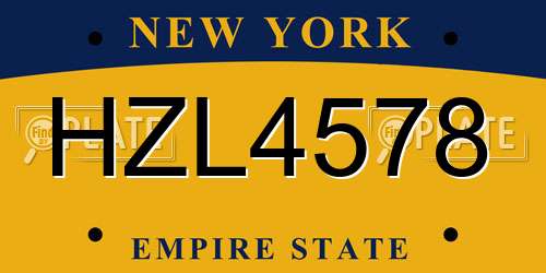 HZL4578 New York License Plate