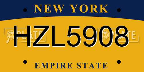HZL5908 New York License Plate