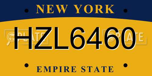 HZL6460 New York License Plate