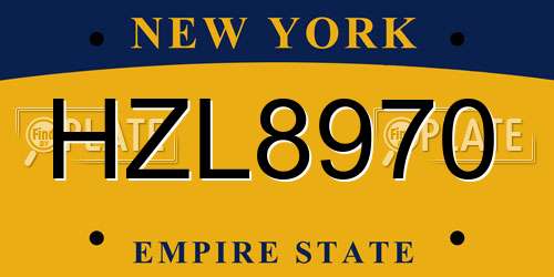 HZL8970 New York License Plate
