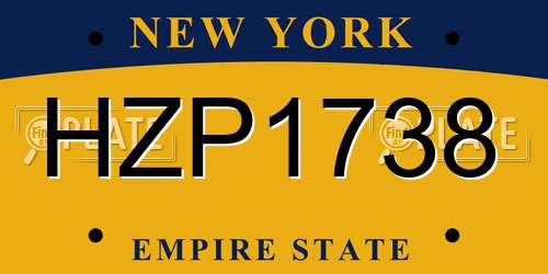 HZP1738 New York License Plate