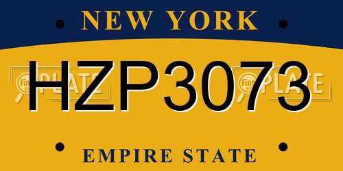 HZP3073 New York License Plate