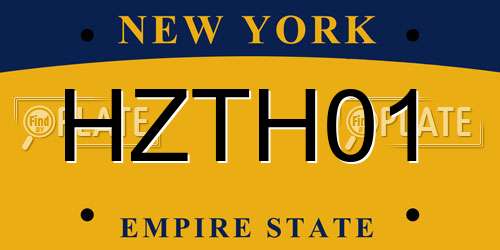 HZTH01 New York License Plate