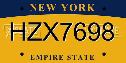 HZX7698 New York License Plate