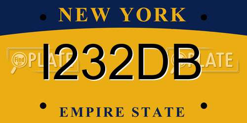 I232DB New York License Plate