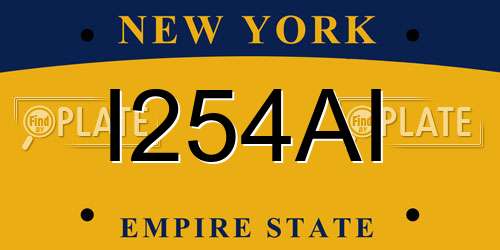 I254AI New York License Plate