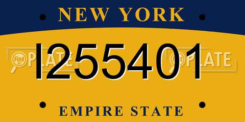 I255401 New York License Plate