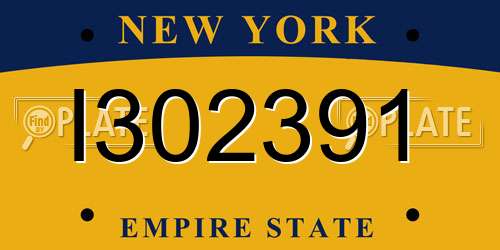 I302391 New York License Plate