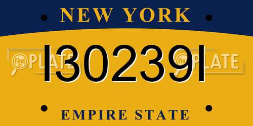 I30239I New York License Plate