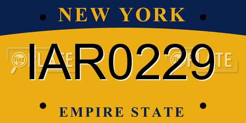 IAR0229 New York License Plate