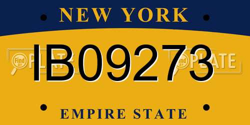 IB09273 New York License Plate