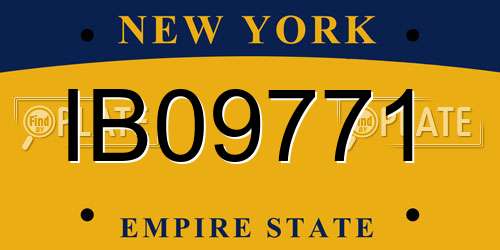 IB09771 New York License Plate