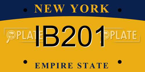 IB201 New York License Plate