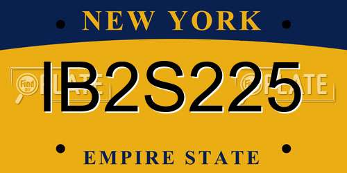 IB2S225 New York License Plate