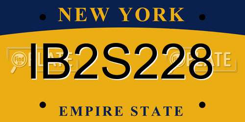 IB2S228 New York License Plate