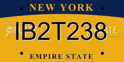 IB2T238 New York License Plate
