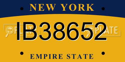 IB38652 New York License Plate