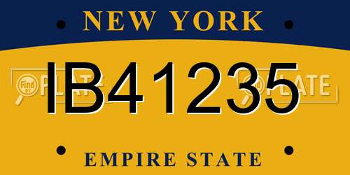 IB41235 New York License Plate