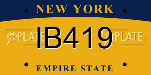 IB419 New York License Plate