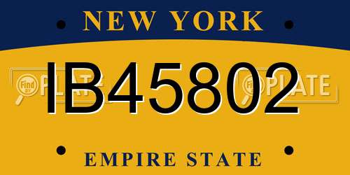 IB45802 New York License Plate