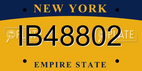 IB48802 New York License Plate