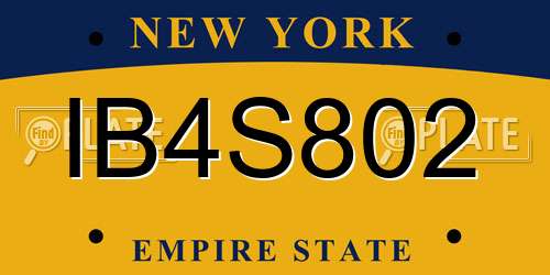 IB4S802 New York License Plate