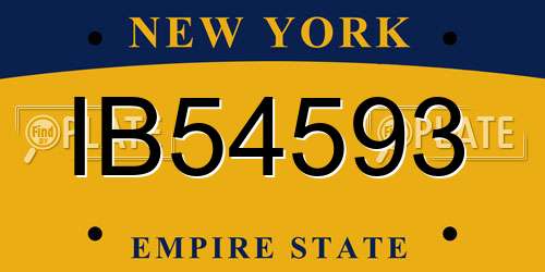 IB54593 New York License Plate