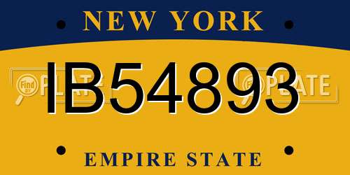 IB54893 New York License Plate