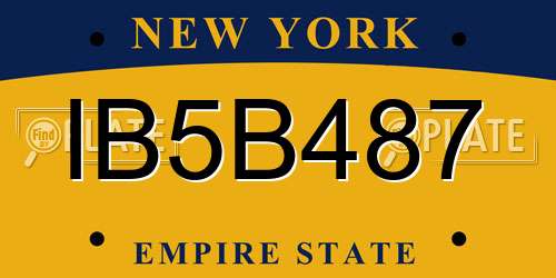 IB5B487 New York License Plate