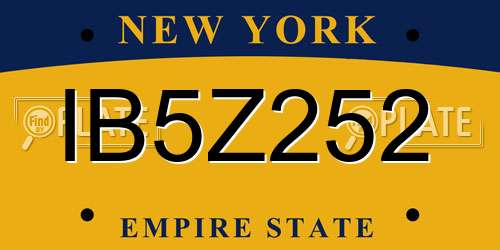 IB5Z252 New York License Plate